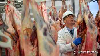 Supermarkets call for EU-UK deal on plant and animal exports