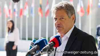 Nach Wahlschlappe: Habeck will laut Bericht Bundestag verlassen