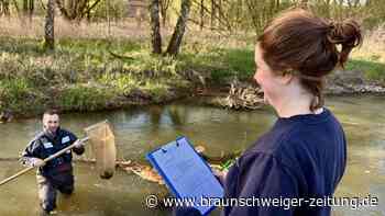 Nagelprobe: Wie gut ist Braunschweigs neue Schunter?