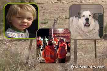 Dog Hero: Buford Rescues Toddler Lost on ‘Dunton Ranch’