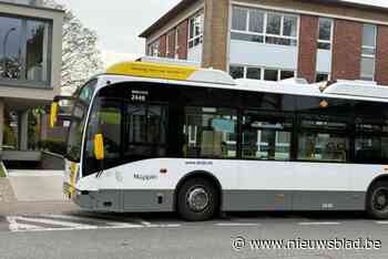 Vier busreizigers lichtgewond na aanrijding