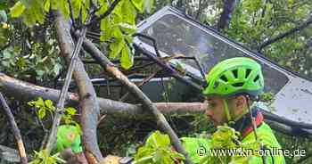 Seilbahn stürzt in Italien ab – mindestens vier Tote