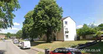 Armed police stormed home due to 'risk to life' fears - but didn't find what they expected