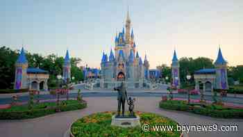 Disney World offers hotel discounts to Disney+ subscribers