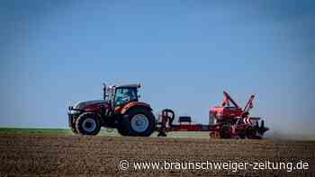 Trockenheit im Frühjahr – schlechte Ernte? Das sagen Experten
