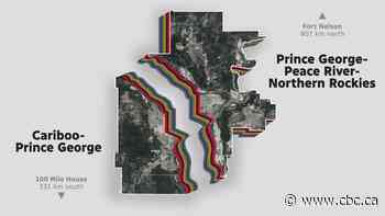 Urban vote diluted in B.C.'s north, voters say