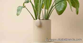 Meet OKO, it automates plant care so you can easily go green