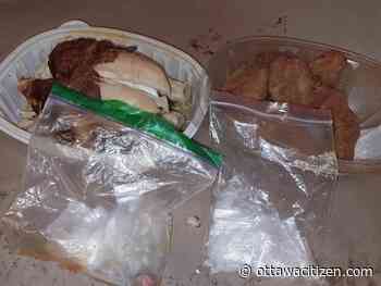 Man charged as Kingston police find fentanyl stuffed inside rotisserie chicken