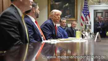 Trump stellt Einigung im Zollstreit in Aussicht – mehrere Länder verhandeln