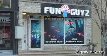 Over $3.5M in magic mushrooms, DMT seized in major Ontario drug bust