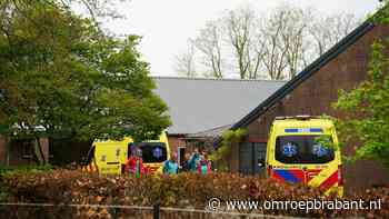 Man raakt zwaargewond door trap van paard op boerderij