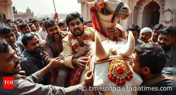 Dalit baraat attacked over loud music in UP, groom unhorsed