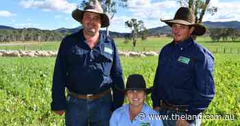 Soil health and pasture mix to take advantage of a seasonal opportunity