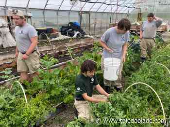 Community groups prepare for AmeriCorps cuts