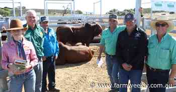 Diverse Fieldhouse Droughtmaster client base tells two different stories