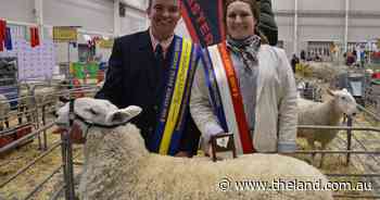 Industry mentors help to lift junior judge McGufficke to winning position