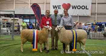 'Overwhelming result' as school claims top honours for the first time in Border Leicester ring