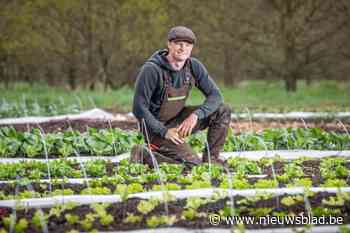 Beringse boer Cas (27) start met regeneratieve boerderij: “Ik teel in harmonie met de natuur”