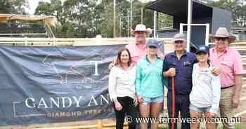 International genetics led to high demand at annual Gandy Angus bull sale