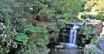 Best free outdoor parks in and around Newcastle for families according to Google ratings