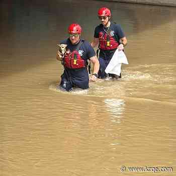 AFR team rescues dog stranded underneath Central Ave. bridge