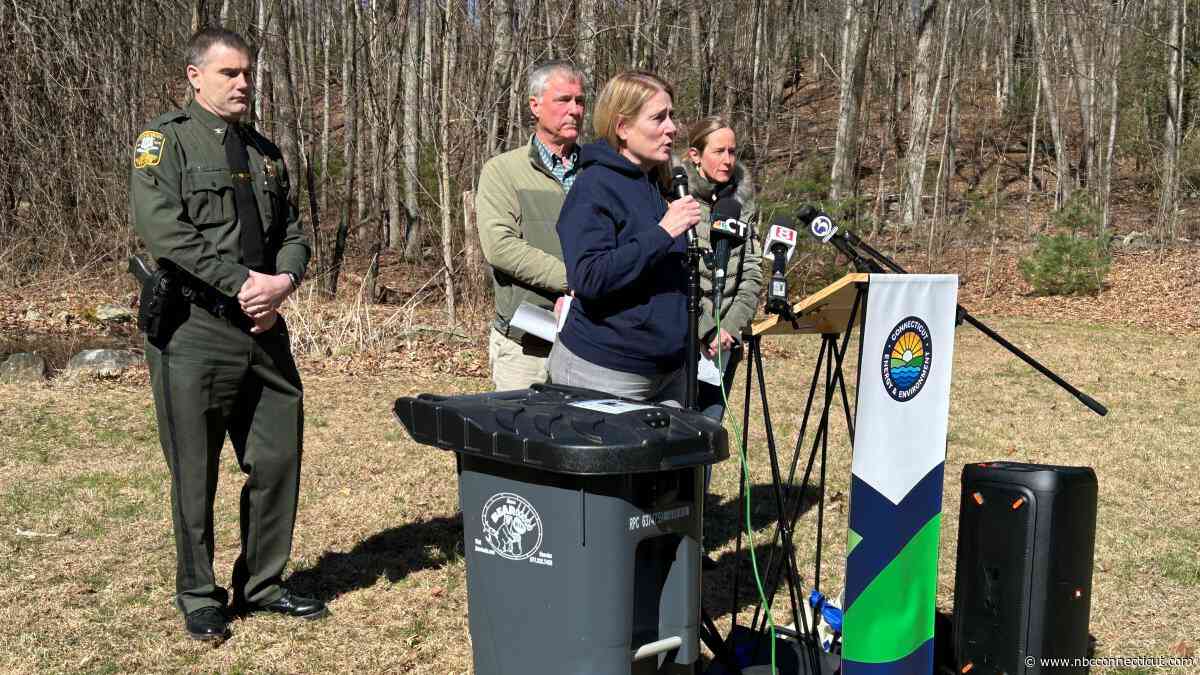 DEEP asks people to be ‘bear aware' as the animal wakes up from winter slumber