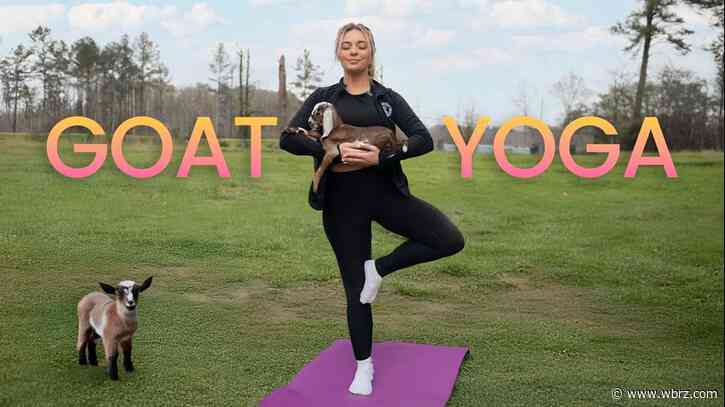 One Tank Trips: Old Rusty Gate Farm