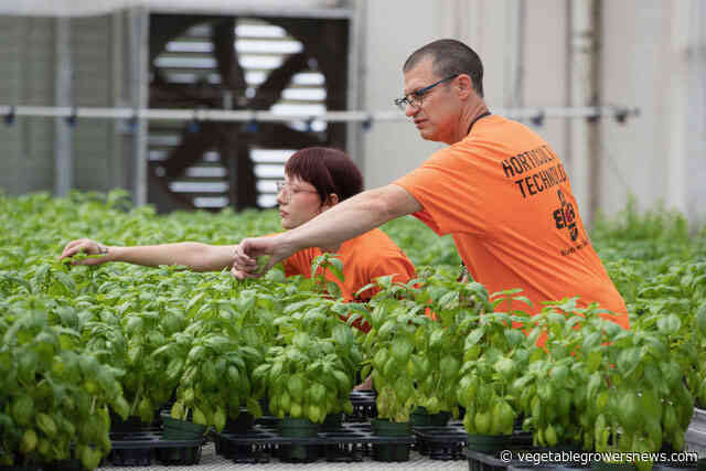 Urban ag farm to be built at Pittsburgh training center