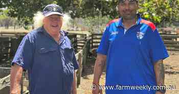 Innovative lamb production sets up WAMMCO win for Mt Barker farmer