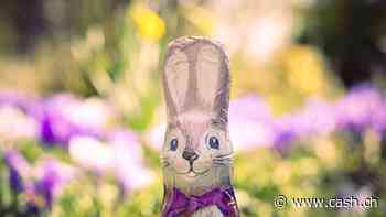 23 Millionen Schokohasen für Ostern:  Diese Langohren schmecken den Schweizern am besten