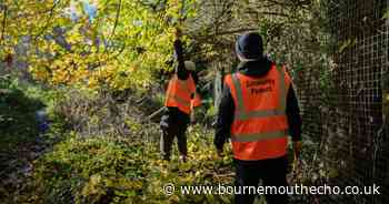 Job opportunity to help 'transform' New Forest communities