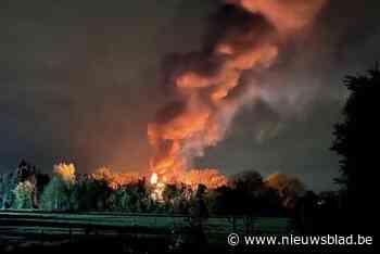 Twee auto’s gaan in vlammen op bij grote schuurbrand: “Vuur sloeg ook over op bomen”