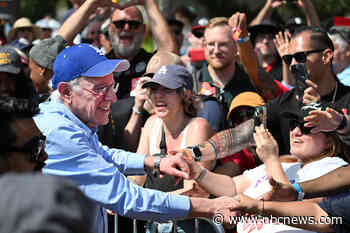 Democrats draw on renewed energy in the fight against Trump