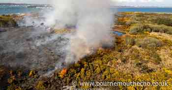 Investigation due to take place into heath fire at Studland