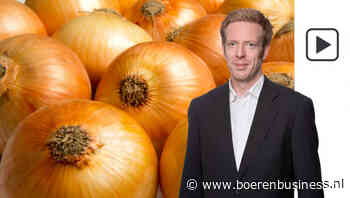 Positieve stemming onder uienverkopers