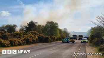 Firefighters battle coastal nature reserve blaze