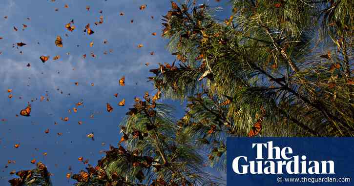 From butterflies to wind turbines, project preserves world’s sonic heritage