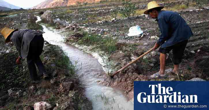 About 15% of world’s cropland polluted with toxic metals, say researchers