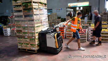 Pasqua a Roma: boom di vendite per il pesce azzurro. Vendite record per frutta e verdura