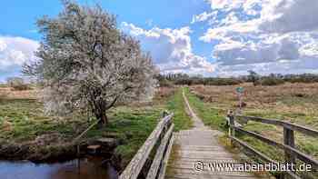 Herrliche Natur: Sechs Tipps für wunderschöne Oster-Spaziergänge