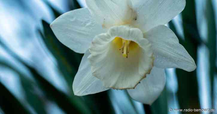 Das Osterwochenende beginnt trüb