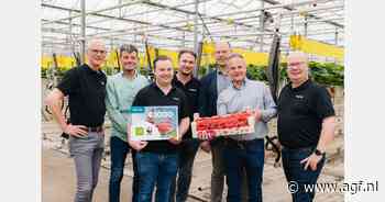 "Zachtfruitseizoen in volle gang met eerste verkoop Sonrosa aardbeien"