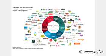 "Naast de opkomst van Private Equity bundelen ook steeds meer familiebedrijven de krachten"