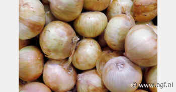 "Hoge prijzen bio uien, lage prijzen voor bio Gala