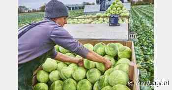 "Certificering uitzendbureaus stap dichterbij"
