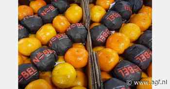 "Wereldwijd sterke vraag naar sinaasappelen"