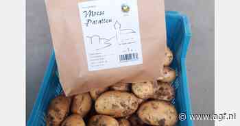 "Een nieuwe aardappel past perfect bij een asperge op het paasmenu"