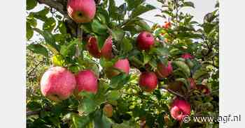 Elektrische tractor in de fruitteelt getest bij Pcfruit