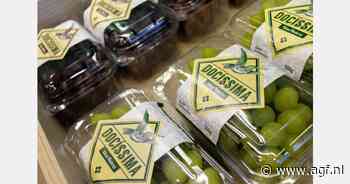 "Europees invoertarief van 14% op Braziliaanse druiven nog steeds van kracht"