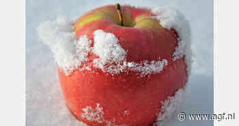 "Vorstschade in heel Turkije geschat op meer dan 575 miljoen euro"